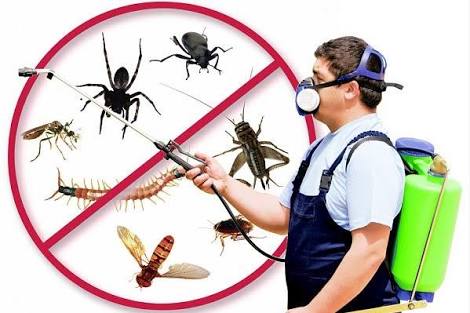 شركة مكافحة حشرات بالرياض-0557304886 خصم 29% عروض وخصومات بالضمان